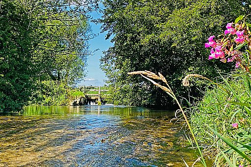 FISHING AND THE CHALKSTREAM RIVER FROME