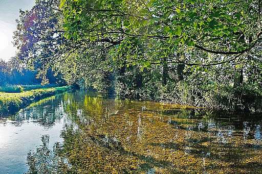 FISHING AND THE CHALKSTREAM RIVER FROME