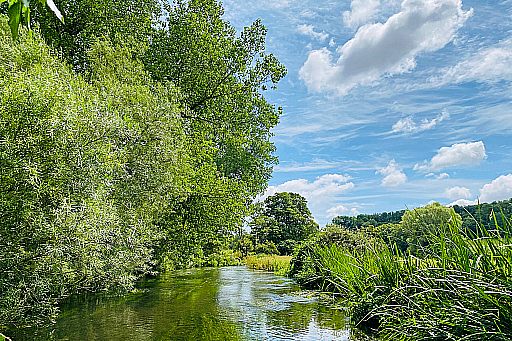 FISHING AND THE CHALKSTREAM RIVER FROME